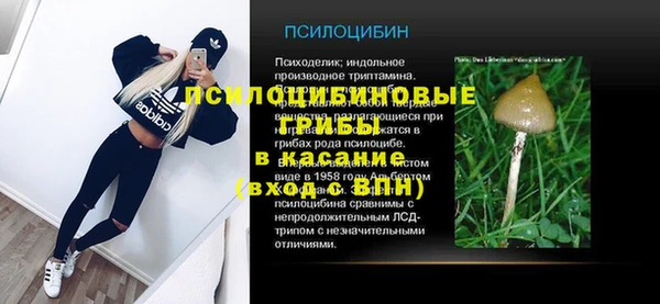 MDMA Premium VHQ Белокуриха